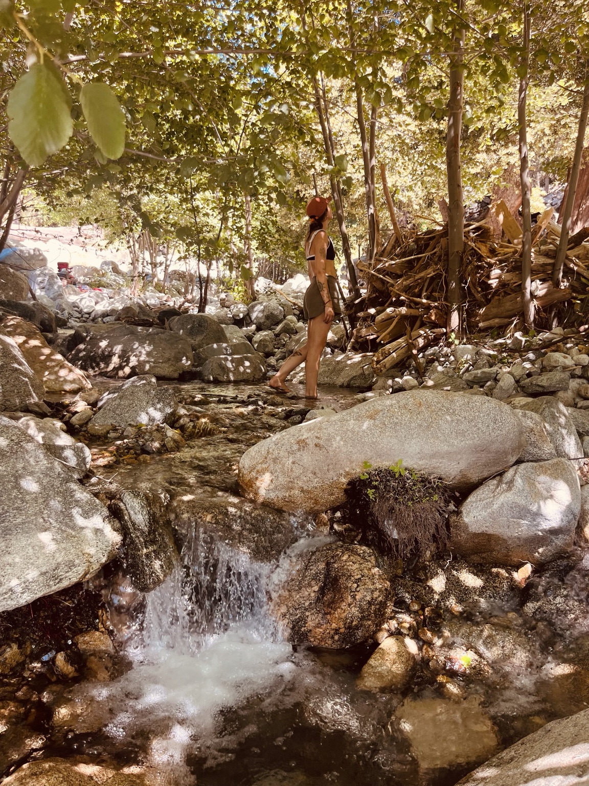 A peaceful creek flowing through rocks beneath trees