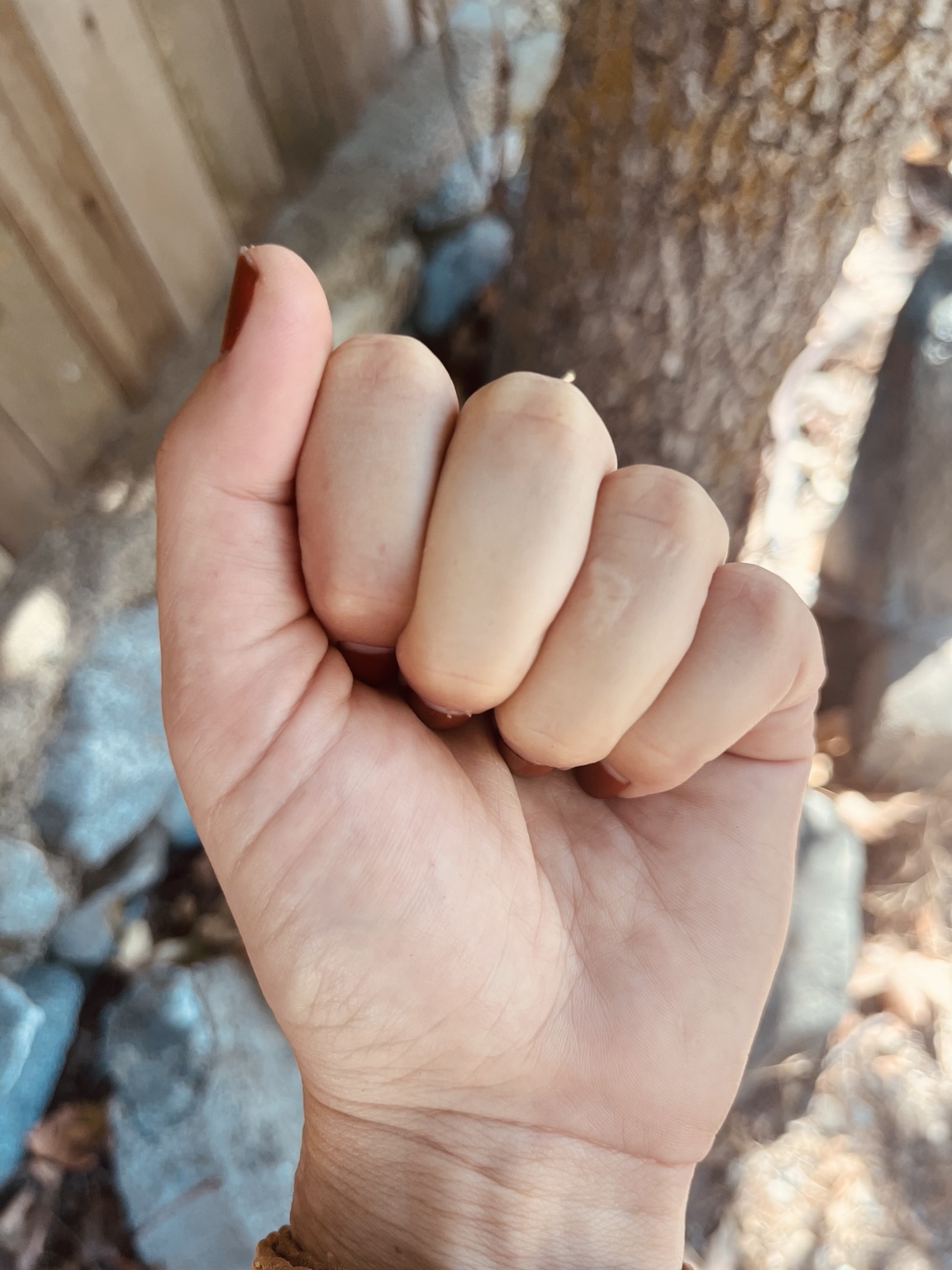 A hand gently holding a Rising Oak keepsake